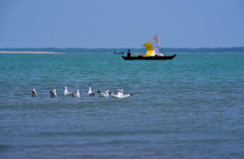 Cox’s Bazar Sea Beach - Image 11