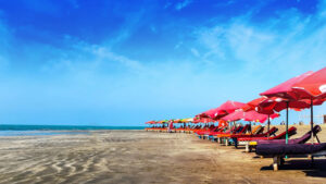 Dhaka to Cox’s Bazar for Only 305 Taka!