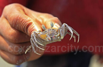 Inani Sea Beach - Image 3