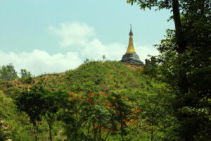 History, Culture and Attractions of Ramu – A Unique Subdistrict of Cox’s Bazar